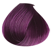 Violet Hair Color Shampoo